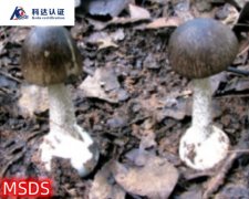 ��඾�ĵ�GHSΣ��/��ʳҰ��Ģ����η���